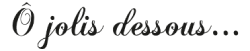 Ô Jolis dessous Logo